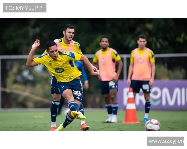 巴甲球员身价排行榜揭晓罗克以3500万欧元领跑拉扬紧随其后 巴甲球员身价排行榜揭晓罗克以3500万欧元领跑拉扬紧随其后