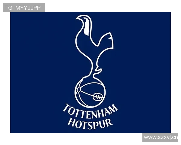 弗兰克分析热刺防守漏洞纽卡虽强但并非不可战胜