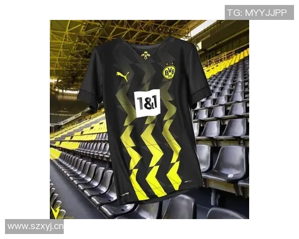 多特蒙德向球迷致敬免费赠送罗伊斯印号主场球衣活动启动 多特蒙德向球迷致敬免费赠送罗伊斯印号主场球衣活动启动